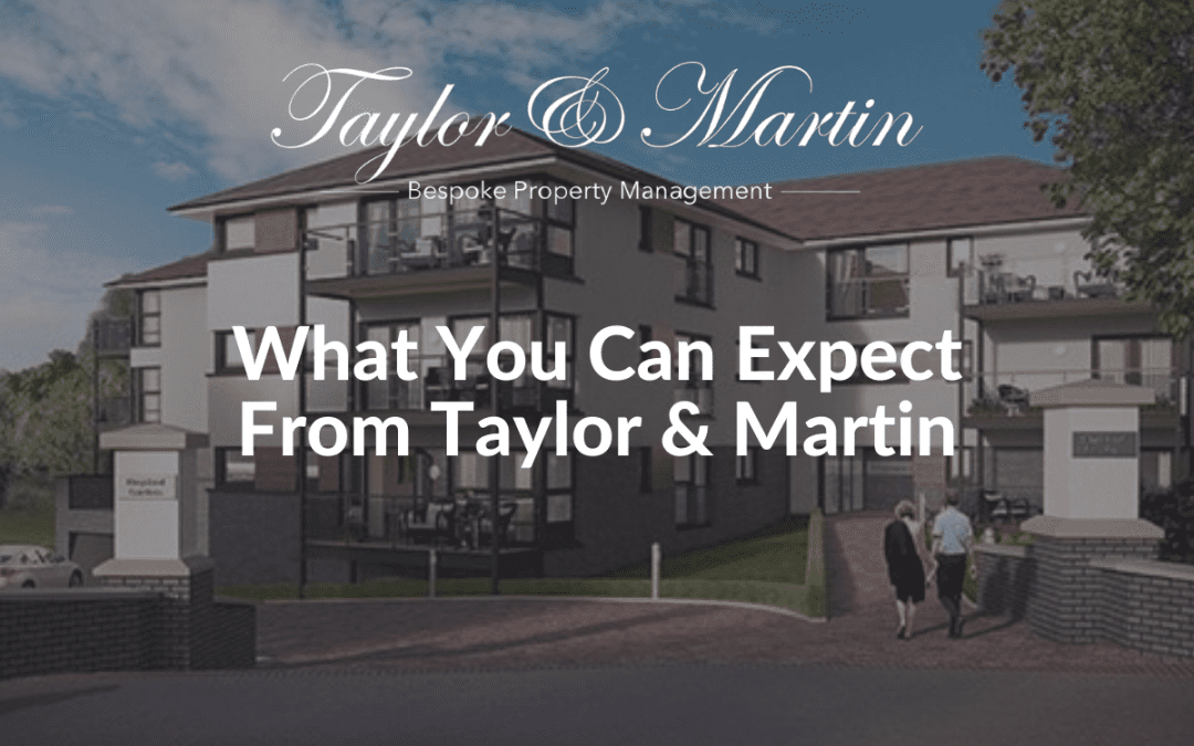 What you can expect from Taylor & Martin