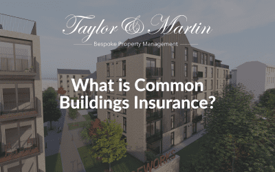 What is common buildings insurance?