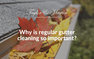 Why is regular gutter cleaning so important?